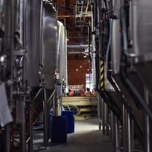 Batch Process Systems (APO03)